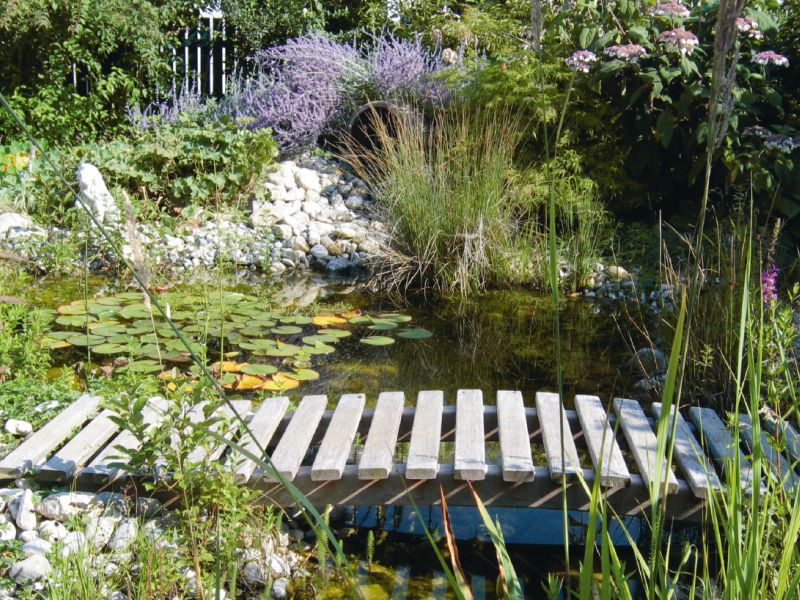 Die kleine Wasserstelle im Garten ist für Mensch und Tier ein "Gesundheitsbrunnen"